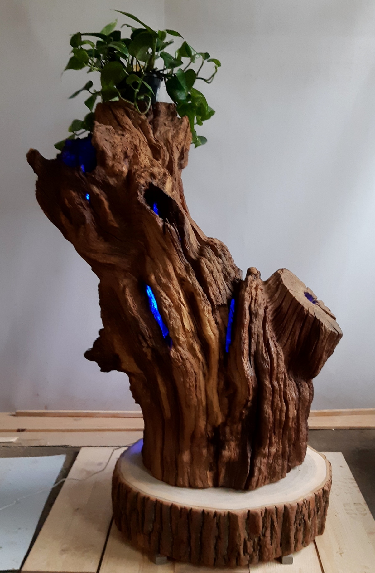 20190928_141353 – kópia
