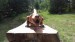 FB_IMG_1532454197107